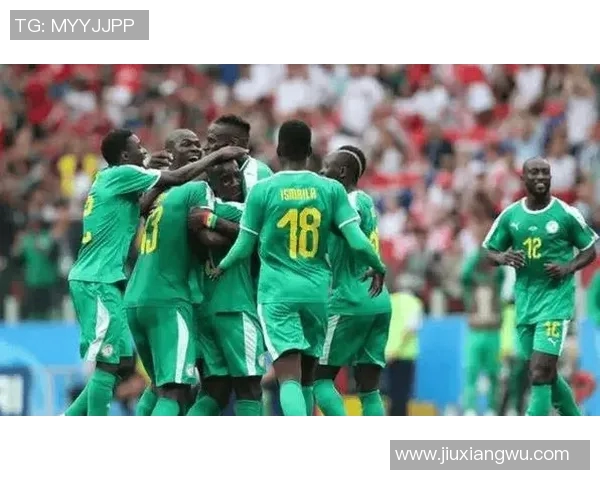 乌干达与津巴布韦足球对决全面分析及比赛前瞻